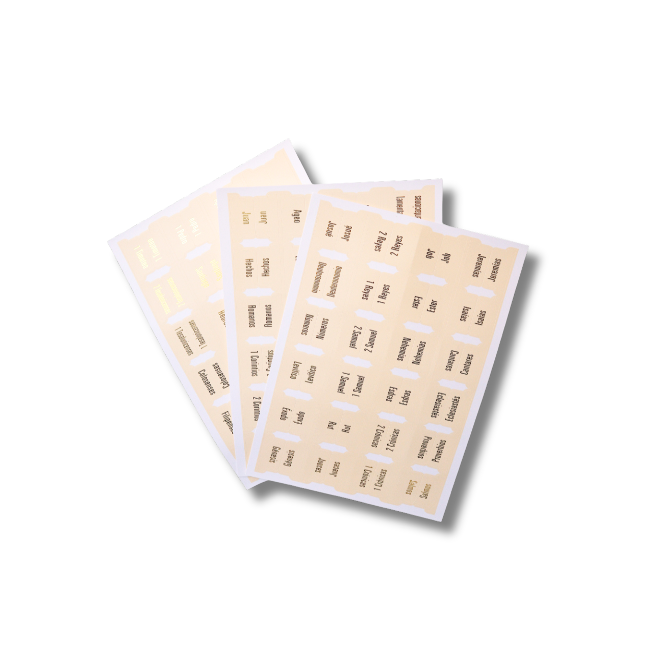 SPANISH NEUTRAL BIBLE TABS